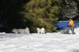 Les Breuleux 2009